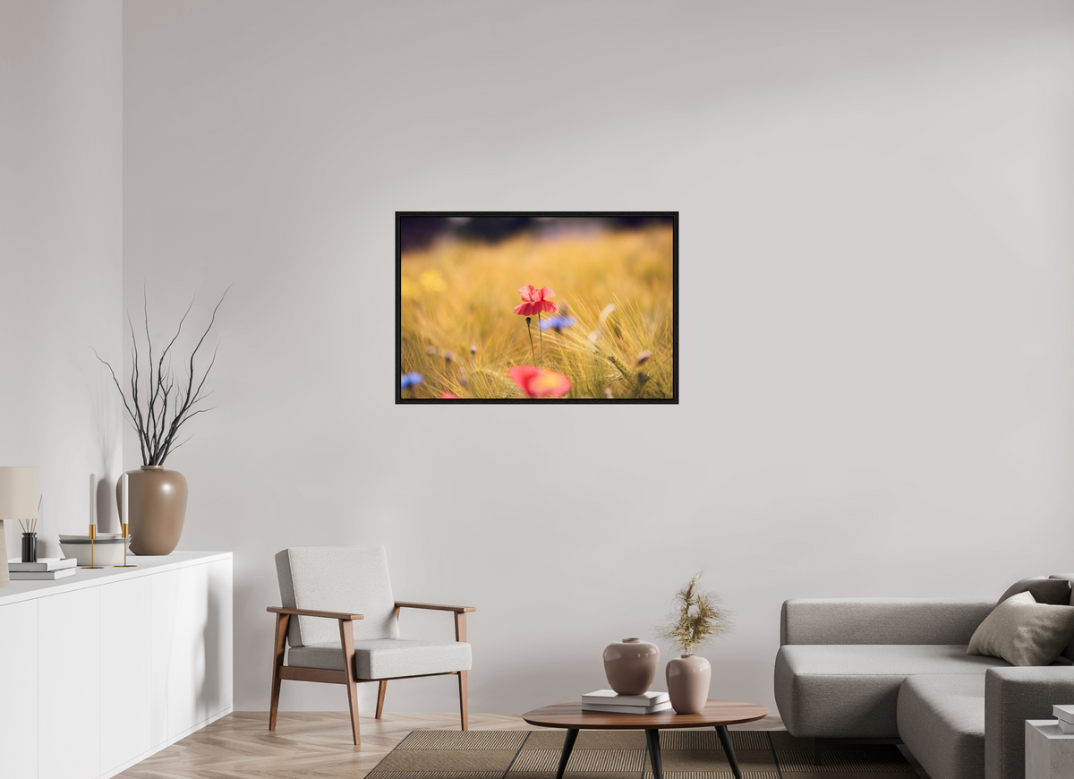 105 x 70 cm, Floater Frame Poppy in Golden Wheat – Fine Art Print