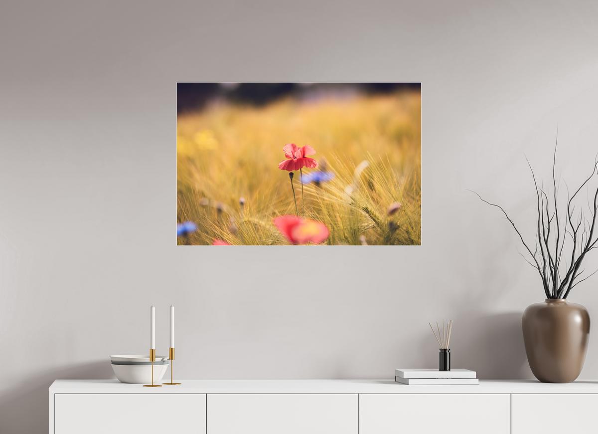 90 x 60 cm, Pixelpoetry Prenium Acryl 4 mm Poppy in Golden Wheat – Fine Art Print