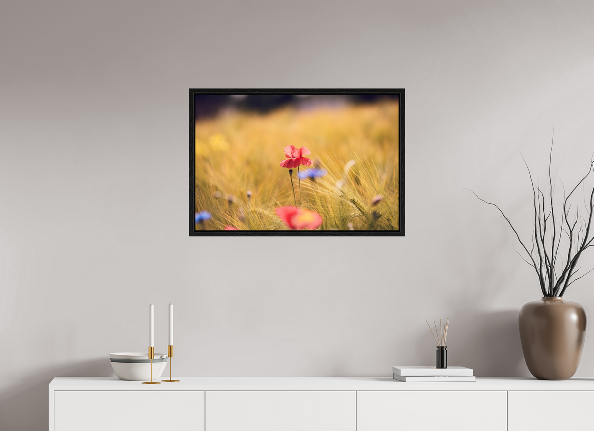 75 x 50 cm, Floater Frame Poppy in Golden Wheat – Fine Art Print
