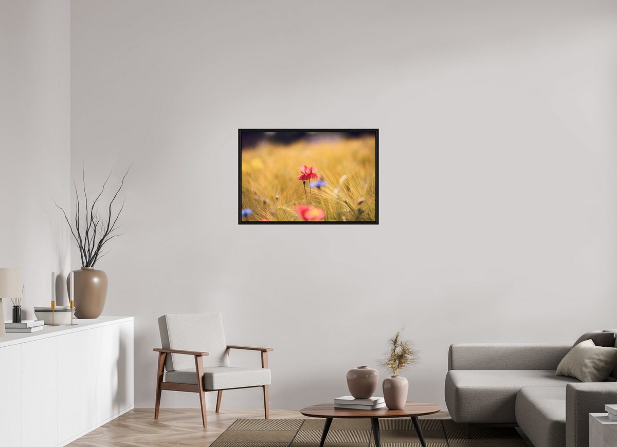90 x 60 cm, Floater Frame Poppy in Golden Wheat – Fine Art Print