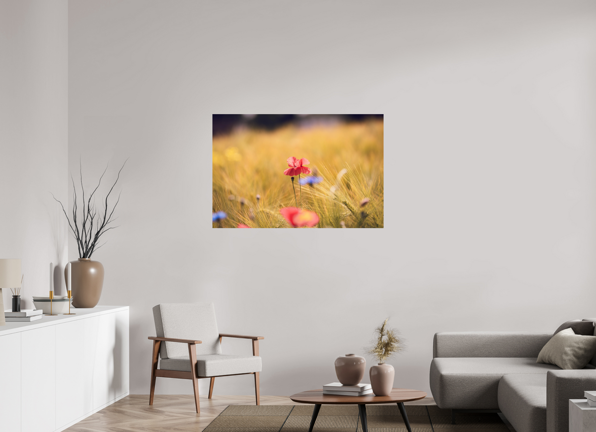 120 x 80 cm, Fine Art Print Poppy in Golden Wheat – Fine Art Print