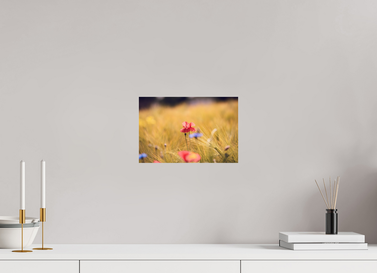 30 x 20 cm, Fine Art Print Poppy in Golden Wheat – Fine Art Print