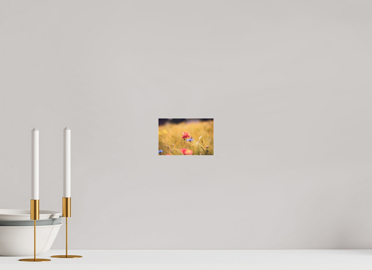 15 x 10 cm, Pixelpoetry Prenium Acryl 4 mm Poppy in Golden Wheat – Fine Art Print