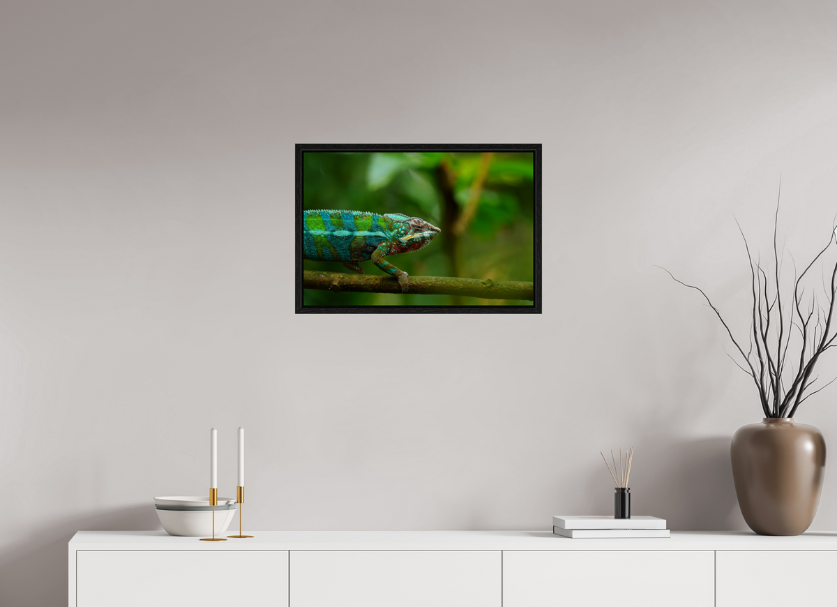 60 x 40 cm, Floater Frame Panther Chameleon I – Fine Art Print