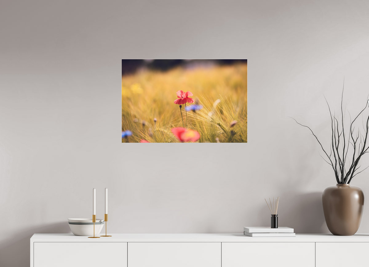 75 x 50 cm, Pixelpoetry Prenium Acryl 4 mm Poppy in Golden Wheat – Fine Art Print