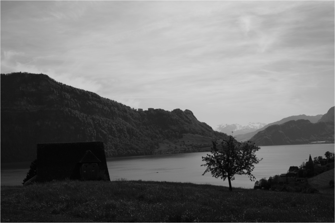 Main image Lakeside Solitude – Fine Art Print