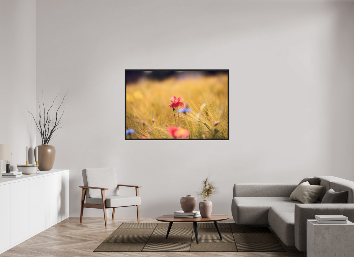 150 x 100 cm, Floater Frame Poppy in Golden Wheat – Fine Art Print