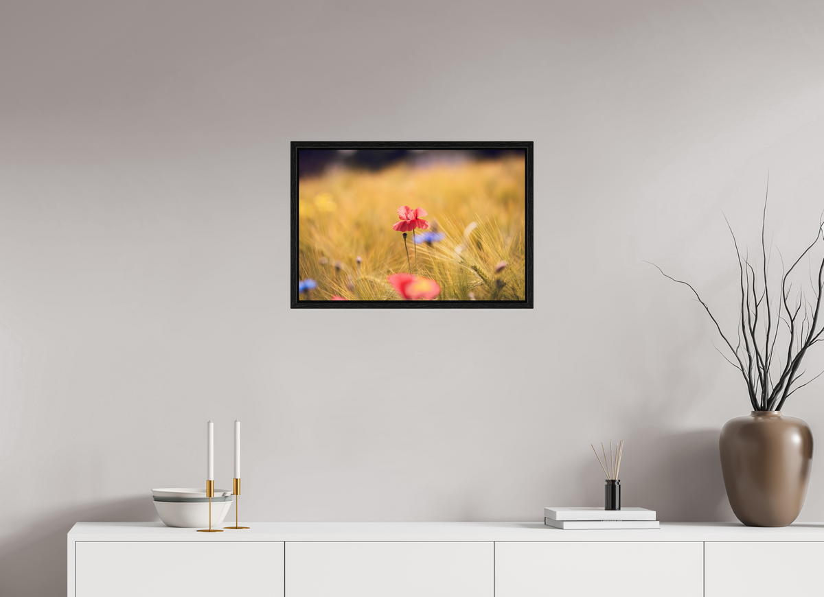 60 x 40 cm, Floater Frame Poppy in Golden Wheat – Fine Art Print