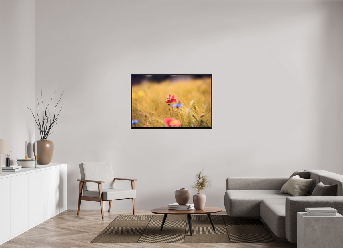 120 x 80 cm, Floater Frame Poppy in Golden Wheat – Fine Art Print