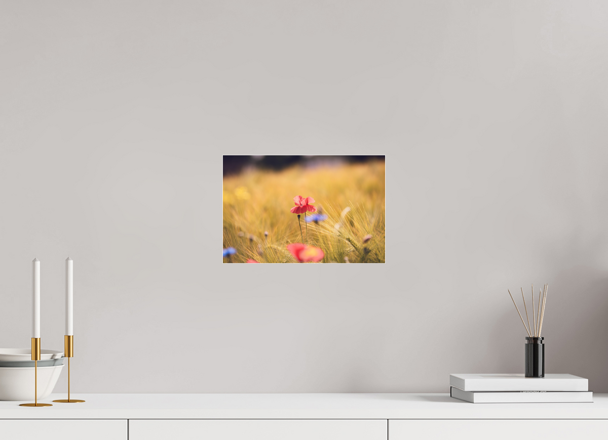 30 x 20 cm, Pixelpoetry Prenium Acryl 4 mm Poppy in Golden Wheat – Fine Art Print