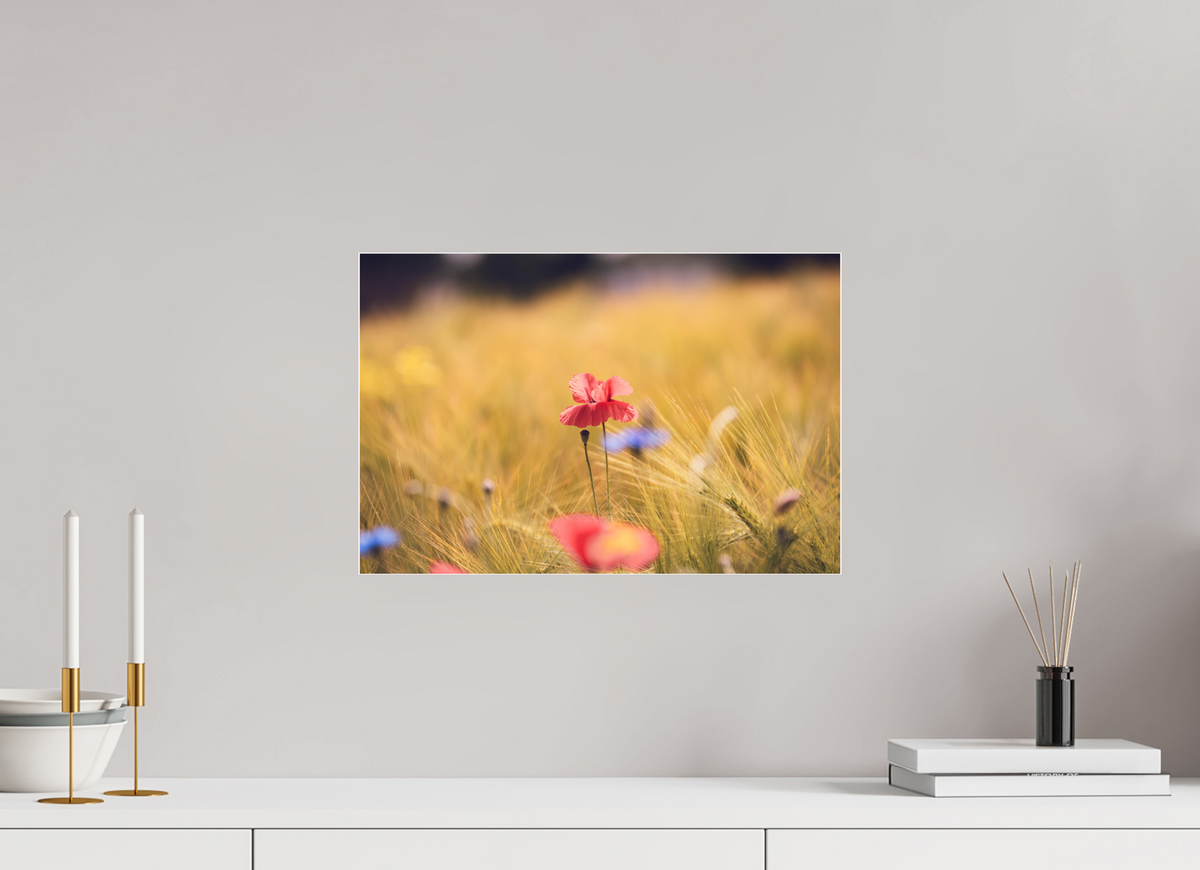 45 x 30 cm, Pixelpoetry Prenium Acryl 4 mm Poppy in Golden Wheat – Fine Art Print