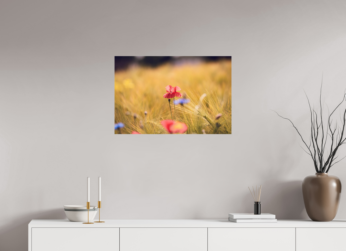 75 x 50 cm, Fine Art Print Poppy in Golden Wheat – Fine Art Print