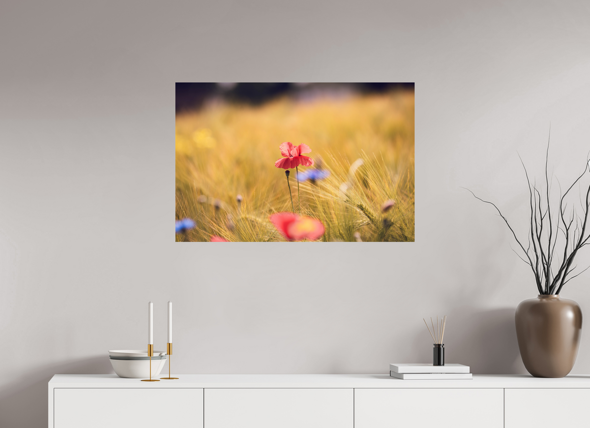 90 x 60 cm, Fine Art Print Poppy in Golden Wheat – Fine Art Print