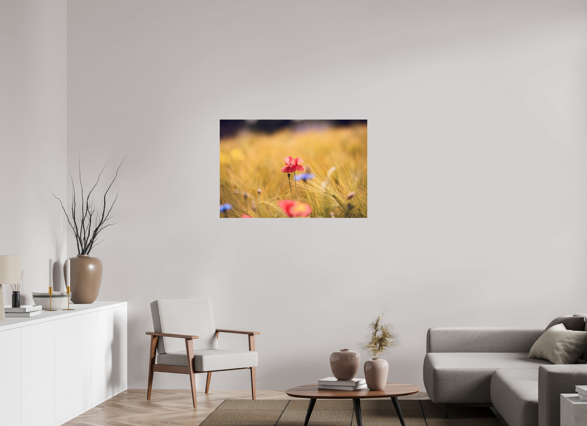 105 x 70 cm, Fine Art Print Poppy in Golden Wheat – Fine Art Print