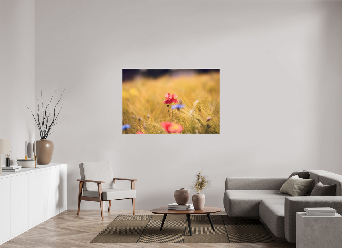 150 x 100 cm, Fine Art Print Poppy in Golden Wheat – Fine Art Print