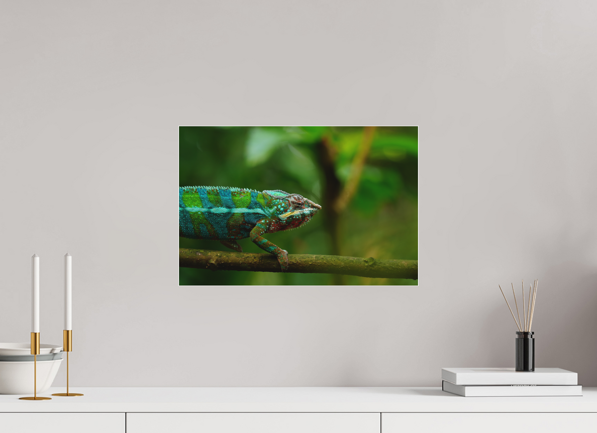 45 x 30 cm, Pixelpoetry Prenium Acryl 4 mm Panther Chameleon I – Fine Art Print